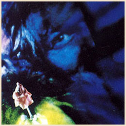 Rock CD